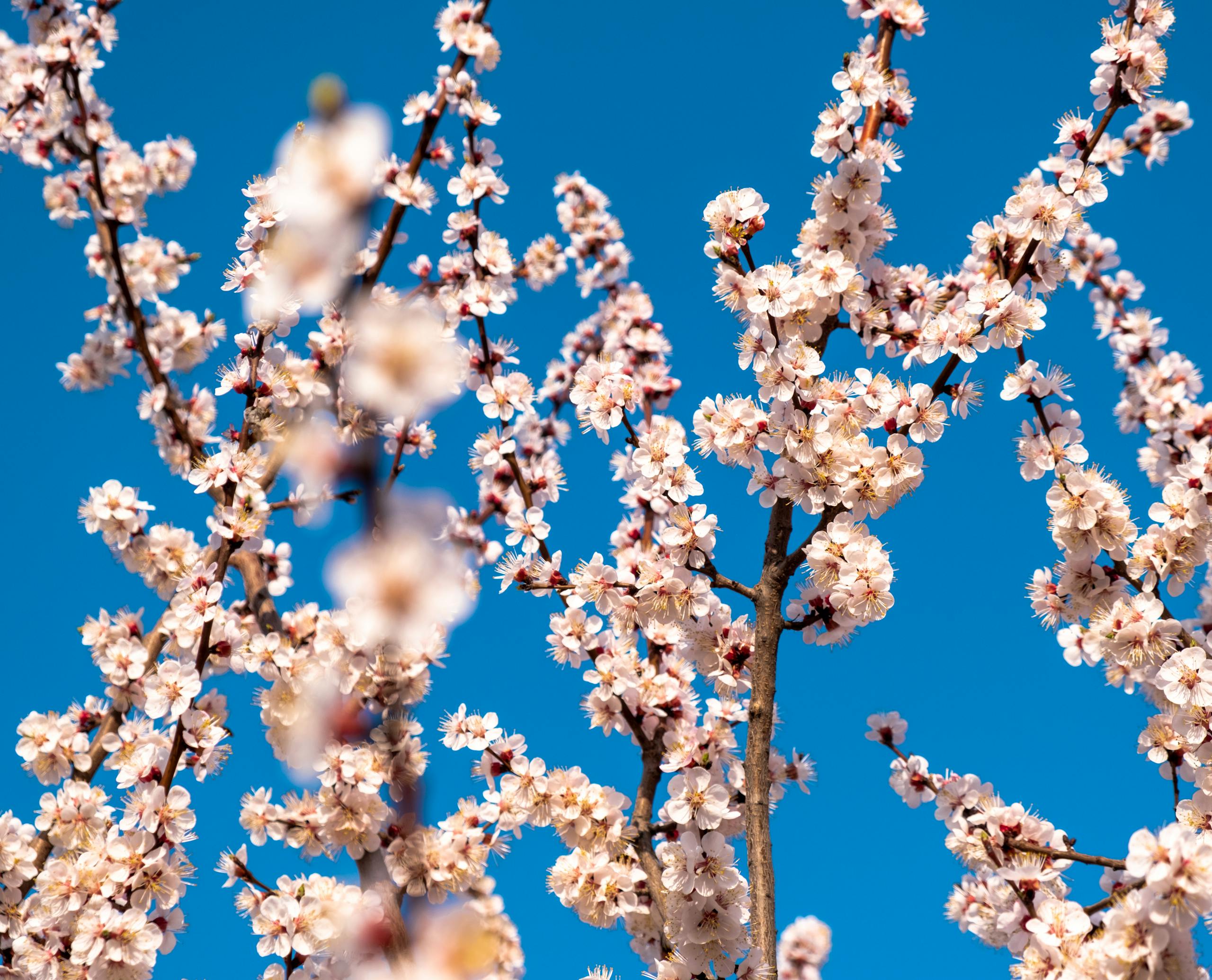 Stoikų mokymas apie laikinumą: gyvenimo trapumas, pokyčių priėmimas, vidinė ramybė ir dorybė.
